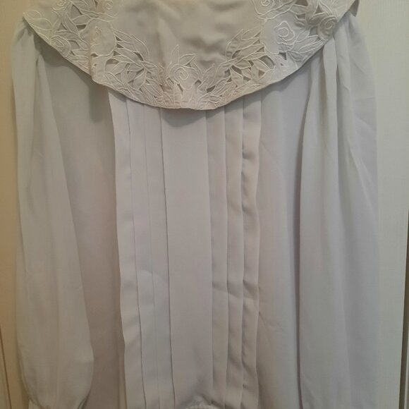 Embroidery Gorgeous  Sheers Material Blouse - Picture 1 of 4
